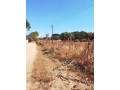 30-by-40-plot-for-sale-in-new-kasama-small-0