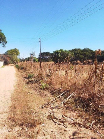 30-by-40-plot-for-sale-in-new-kasama-big-0