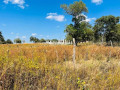 10-acres-plot-for-sale-in-palabana-small-2
