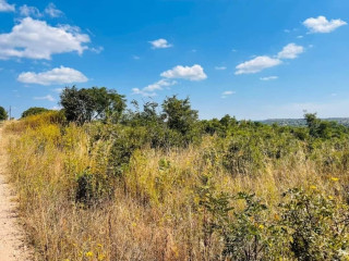 10-acres-plot-for-sale-in-palabana