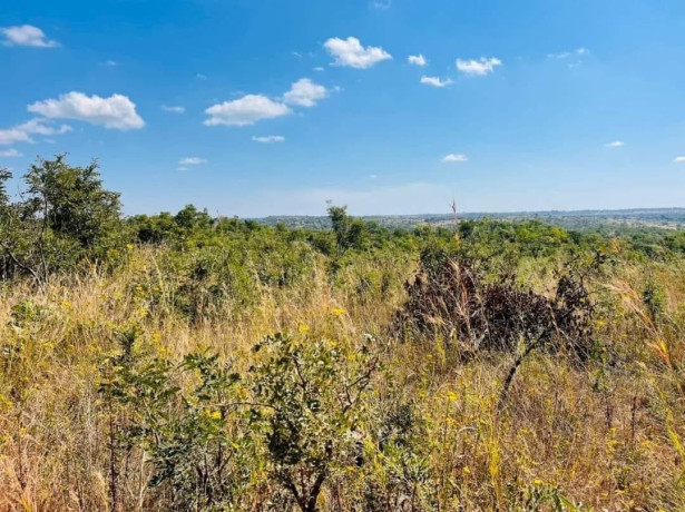 10-acres-plot-for-sale-in-palabana-big-4