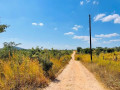 10-acres-plot-for-sale-in-palabana-small-5