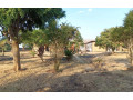 5-bedroom-house-for-sale-in-9-miles-small-8