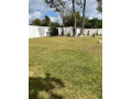 4-bedroom-house-for-sale-in-kalundu-small-5