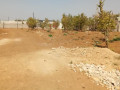 1625-sq-mt-plot-in-rockfield-woodlands-chalala-small-2