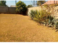 3-bedroom-house-for-rent-in-ibex-hill-small-1
