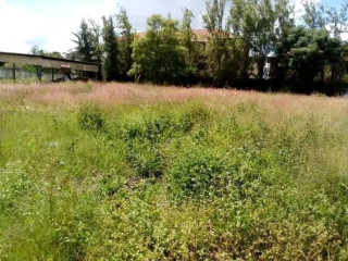 1.2 Acre Plot For Sale In Makeni