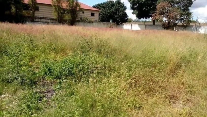 12-acre-plot-for-sale-in-makeni-big-1