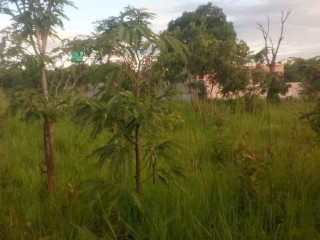 plots-for-sale-in-ibex-hill