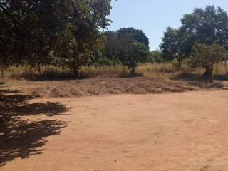 5 Acres Land For Sale in New Kasama