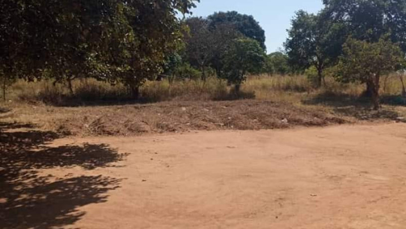 5-acres-land-for-sale-in-new-kasama-big-3