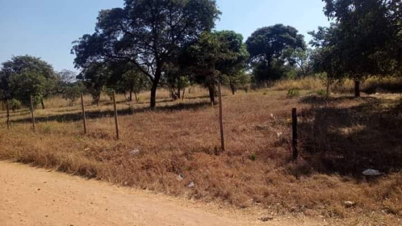 5-acres-land-for-sale-in-new-kasama-big-4