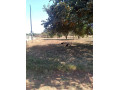 5-acres-land-for-sale-in-new-kasama-small-2