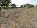 4030-plots-for-sale-in-chalala-small-6