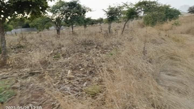 4030-plots-for-sale-in-chalala-big-6