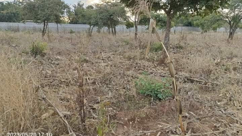 4030-plots-for-sale-in-chalala-big-1