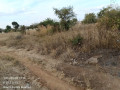 40m-by-30m-plot-for-sale-in-chalala-small-3