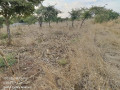 40m-by-30m-plot-for-sale-in-chalala-small-2