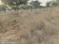 40m-by-30m-plot-for-sale-in-chalala-small-0