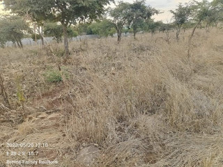 40m by 30m Plot For Sale In Chalala