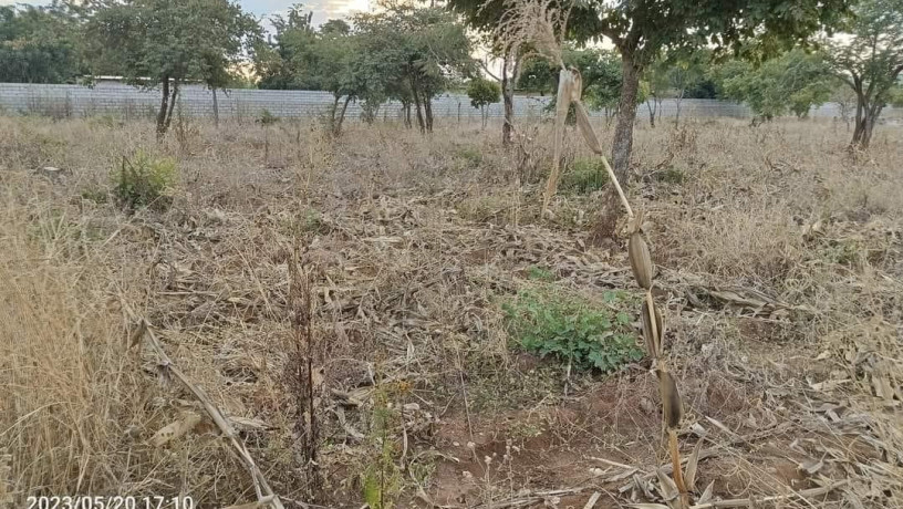 40m-by-30m-plot-for-sale-in-chalala-big-4