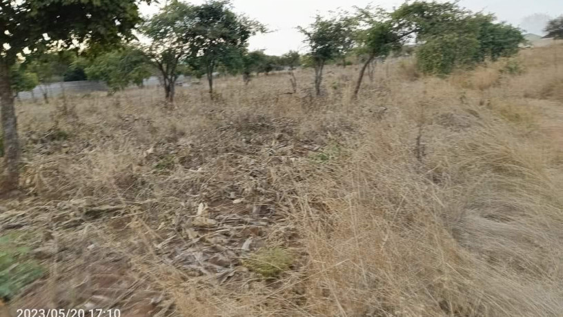 40m-by-30m-plot-for-sale-in-chalala-big-1