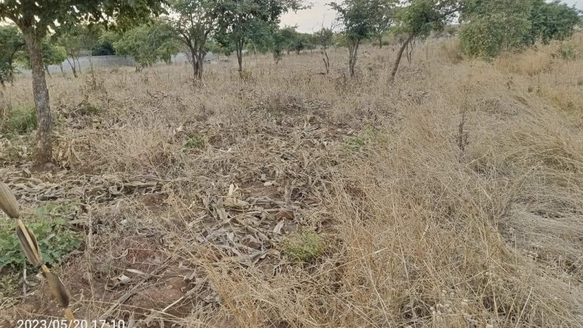 40m-by-30m-plot-for-sale-in-chalala-big-2