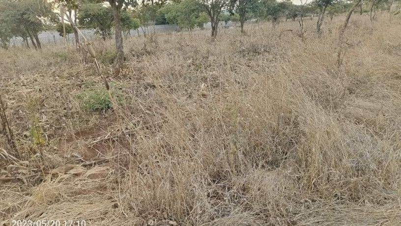 40m-by-30m-plot-for-sale-in-chalala-big-0