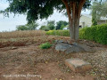 4020-plot-for-sale-in-chalala-small-4