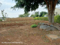 4020-plot-for-sale-in-chalala-small-6