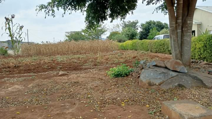 4020-plot-for-sale-in-chalala-big-6