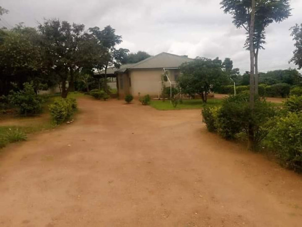 3-bedroom-house-for-sale-in-ibex-hill-big-2