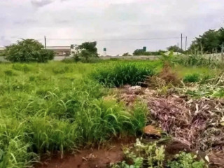 2 Acre Plot For Sale In New Kasama