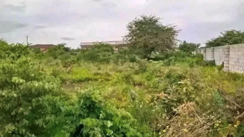 2-acre-plot-for-sale-in-new-kasama-big-1