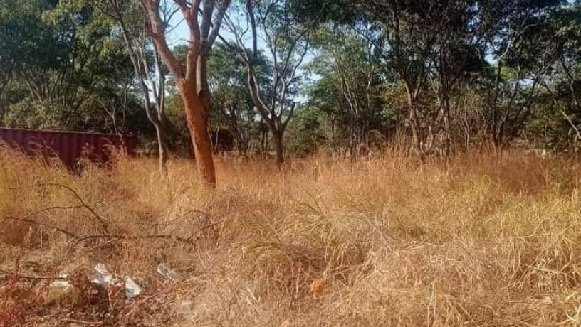 1-acre-land-for-sale-in-new-kasama-big-3