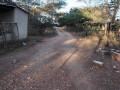 5-acres-farm-for-sale-in-palabana-small-4