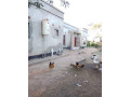 5-acres-farm-for-sale-in-palabana-small-1
