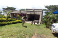 5-acres-farm-for-sale-in-palabana-small-0