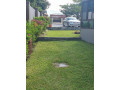 5-bedroom-stand-alone-house-for-rent-in-roma-park-small-3