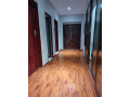 5-bedroom-stand-alone-house-for-rent-in-roma-park-small-7