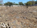 40-by-30-plots-for-sale-in-chalala-small-2