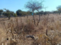 40-by-30-plots-for-sale-in-chalala-small-1