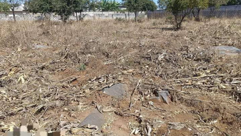 40-by-30-plots-for-sale-in-chalala-big-2