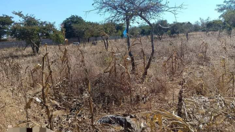 40-by-30-plots-for-sale-in-chalala-big-1