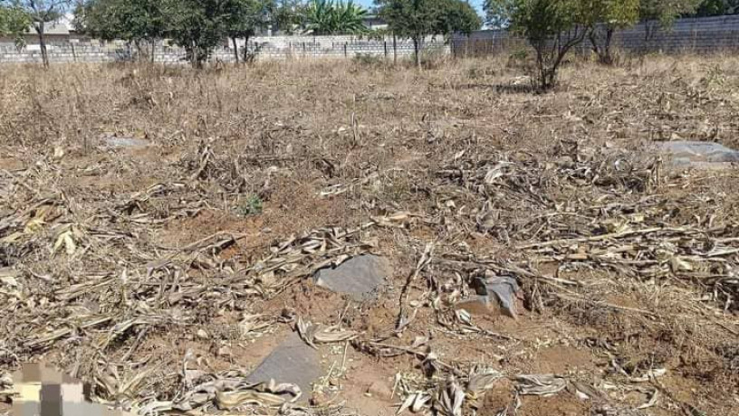 40-by-30-plots-for-sale-in-chalala-big-3