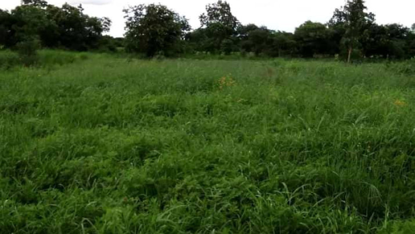 2-hectares-land-for-sale-in-kasisi-big-0