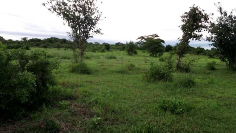 2-hectares-land-for-sale-in-kasisi-big-5