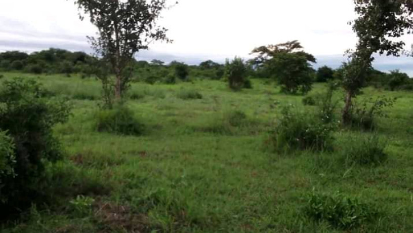 2-hectares-land-for-sale-in-kasisi-big-3