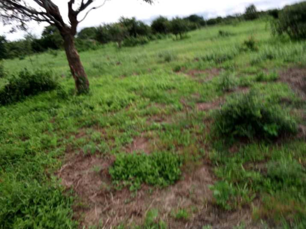 2-hectares-land-for-sale-in-kasisi-big-4