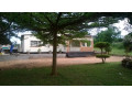 7-bedroom-house-for-sale-in-ngwerere-area-small-4
